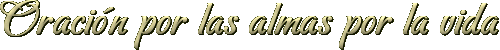 Oraci�n por las almas por la vida